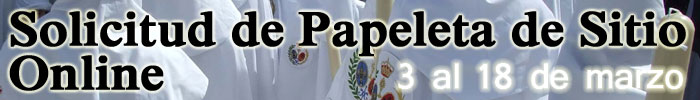 PapeletasOnline2014