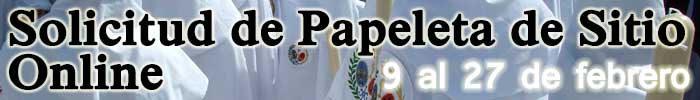 PapeletasOnline2015 I