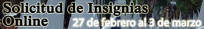 InsigniasOnline2017